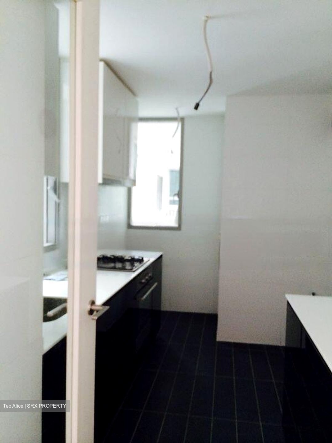The Minton (D19), Condominium #425825061